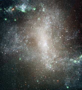 NGC 1313